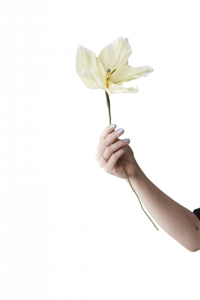 Papierblume . STUDIO ABOUT . Lily Yellow