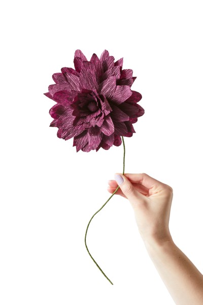 Paper Flower . STUDIO ABOUT . Grand Dahlia Aubergine