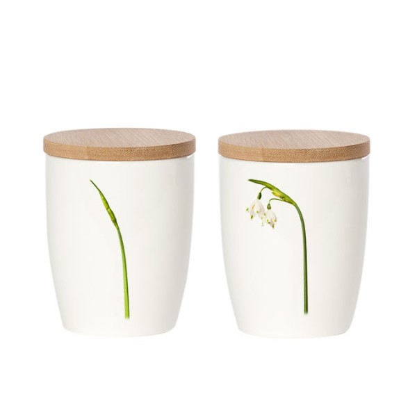 Tasse . SIMPLY FLOWERS . Märzbecher März