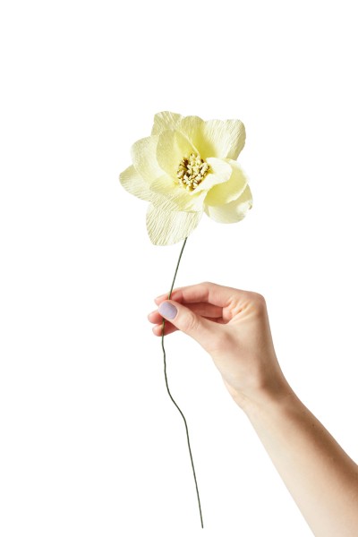 Paper Flower . STUDIO ABOUT . Dahlia Yellow