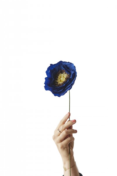 Paper Flower . STUDIO ABOUT . Ice Poppy Blue