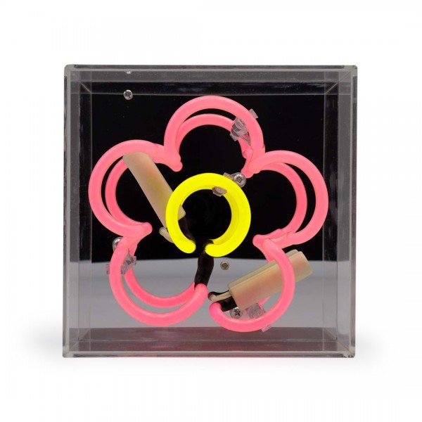 Neon Box . LOCOMOCEAN . Daisy mini pink