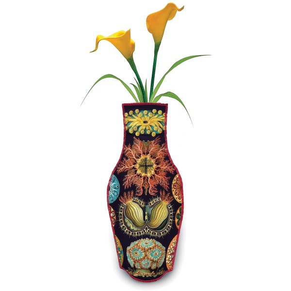 Cotton Vase . HAECKEL